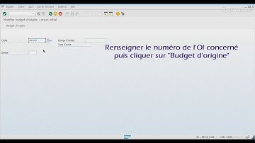 SAP - KO22 - Validation du budget de l
