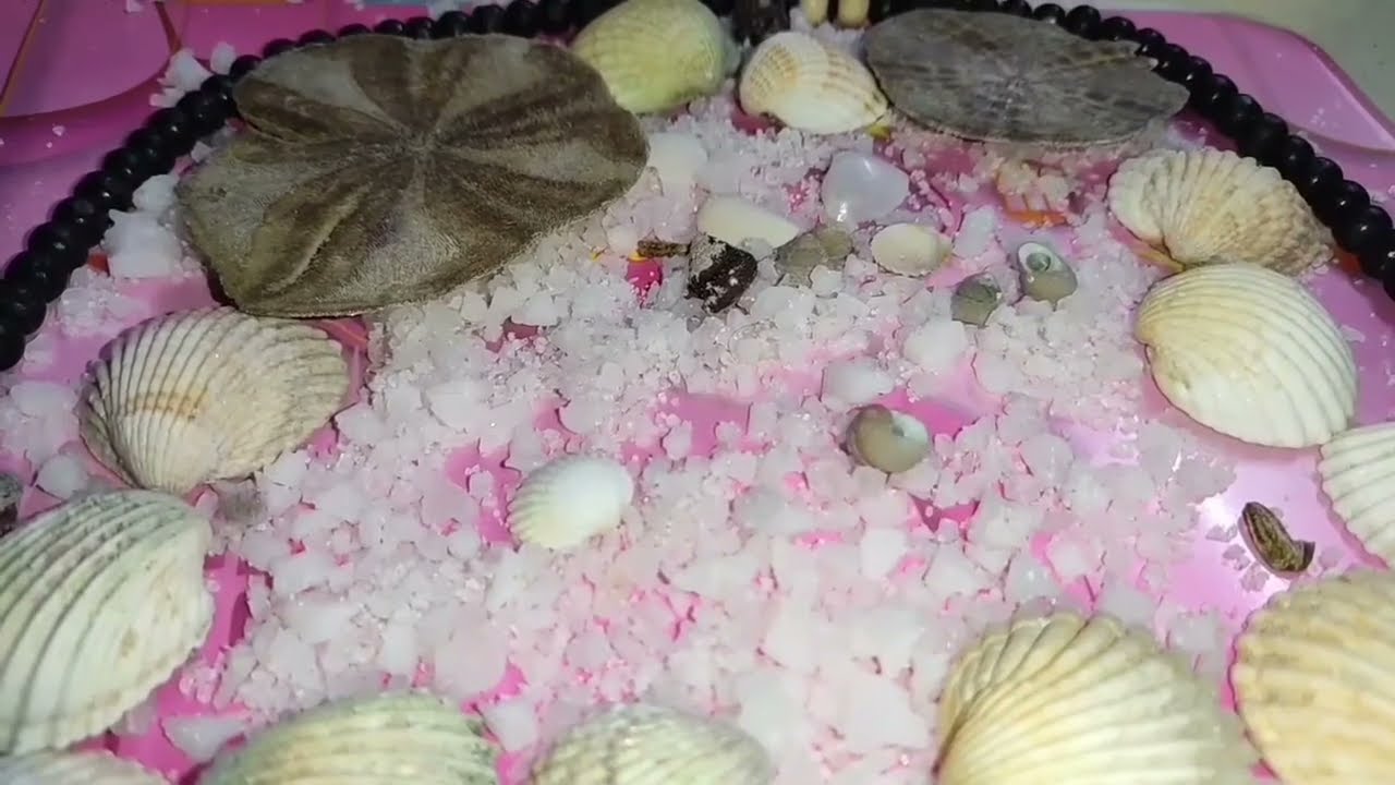 برج القوس ♐ شخص ندمان ومش قادر ينساك الحق الفرصه قبل ما اتكسرت وناس كتير هتندم #القارئه_ام_احمد