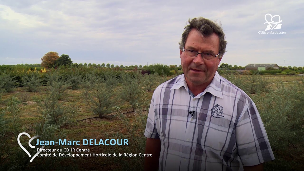 Projet Europe Innovation ARONIA - Région Centre-Val de Loire