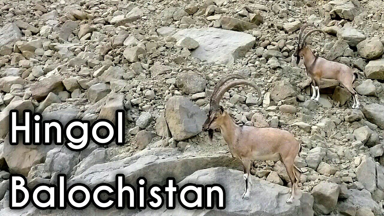 Balochistan, Hingol National Park | Hinglaj Mata Mandir | DroneVlog