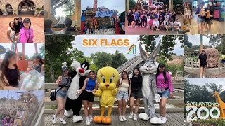 viaje escolar: zoológico + six flags!!