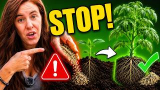 The Science of Fertilizer Placement