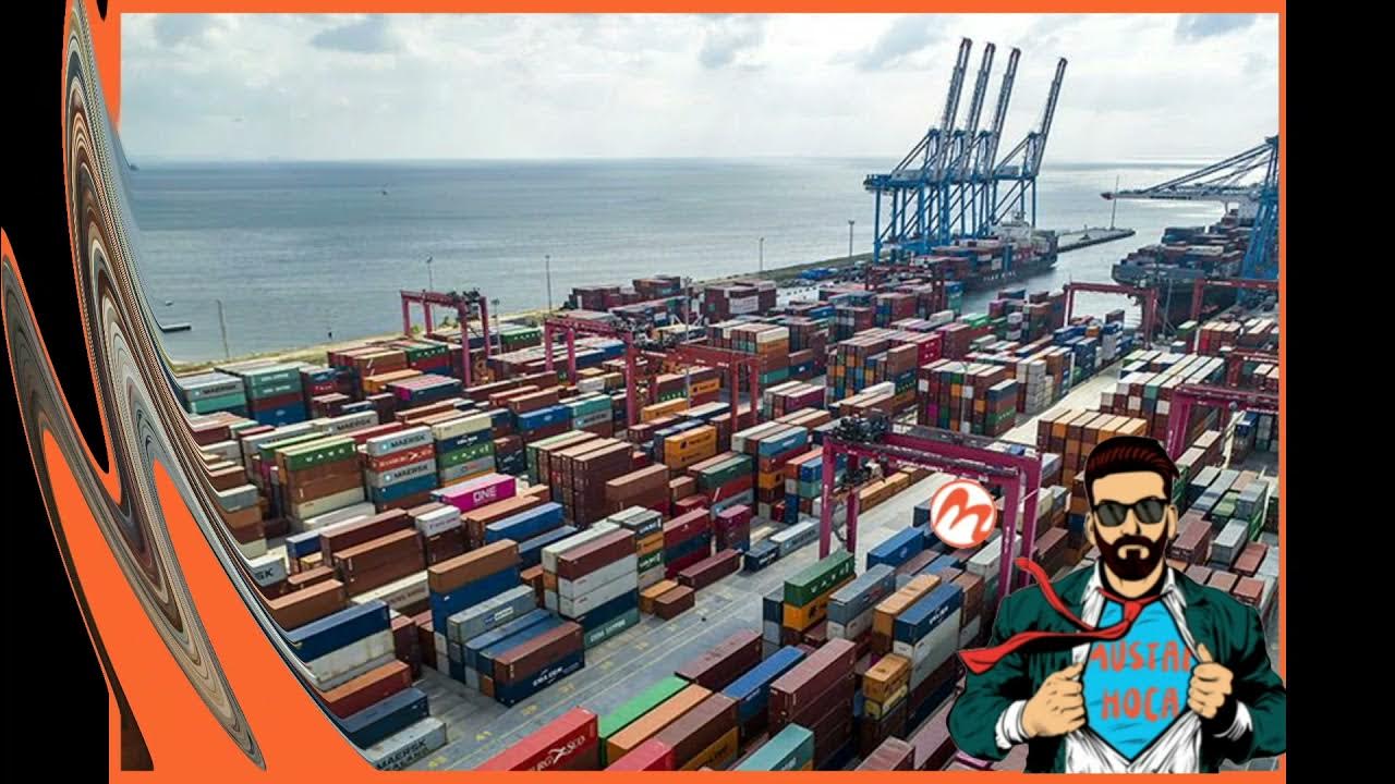 Dev exports. Контейнерный терминал купавна. Dev exports. Импорт товаров. Контейнеры морские много.