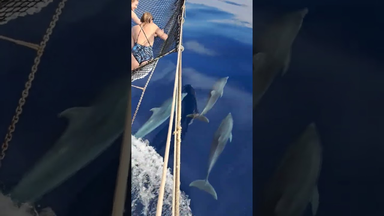 Explore a Stunning Boat Trip in Alghero