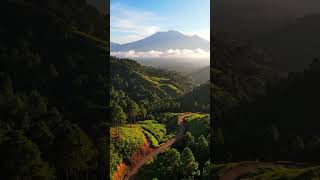 Download Lagu Jalan Perbukitan #pemandanganalam #shortsfeed MP3