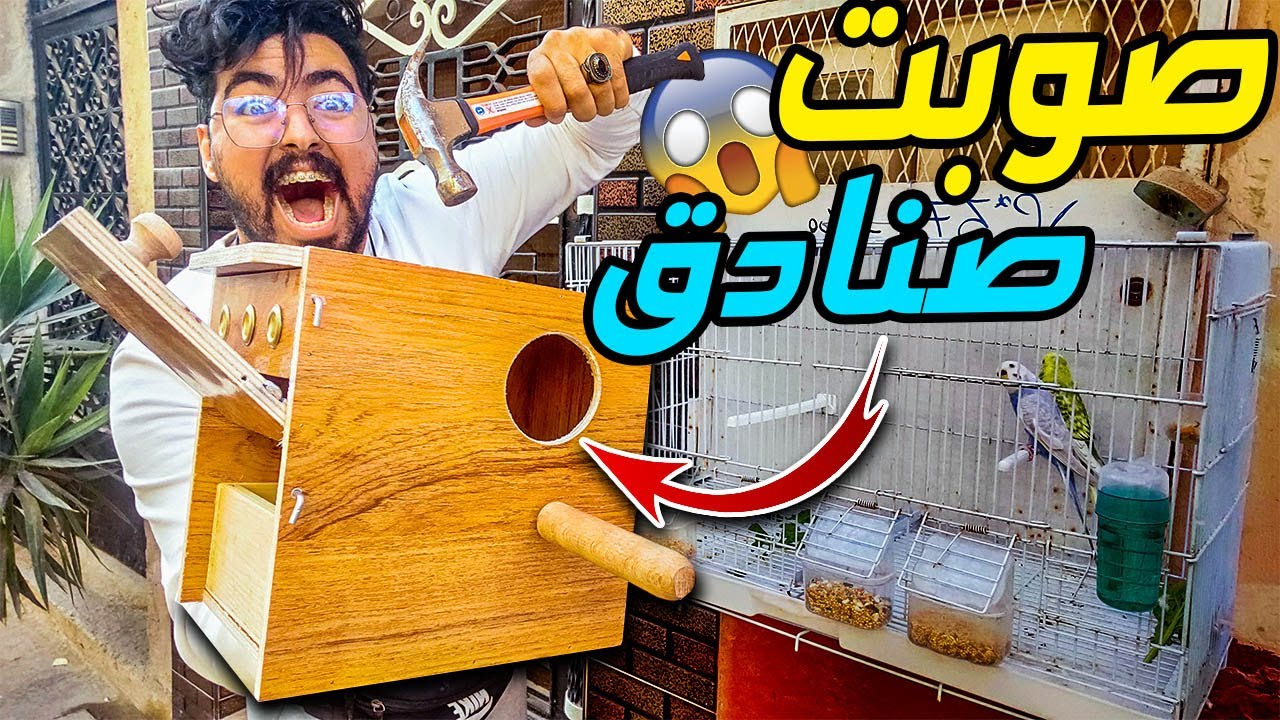 ها كيفاش صوبت الصنادق ل طيوري  ⚒️🦜..باش يبيضو ليا 😍🐣