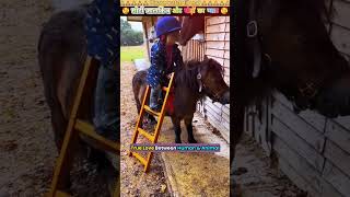 Full छोटी मालकिन और घोड़ों का प्यार 💖 #animal #animals #animallover #animalrescue #dog Update