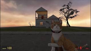 G Mod Strange Weapons   Cat Gun