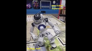 NAO Humanoid Robot - Test and Exploration