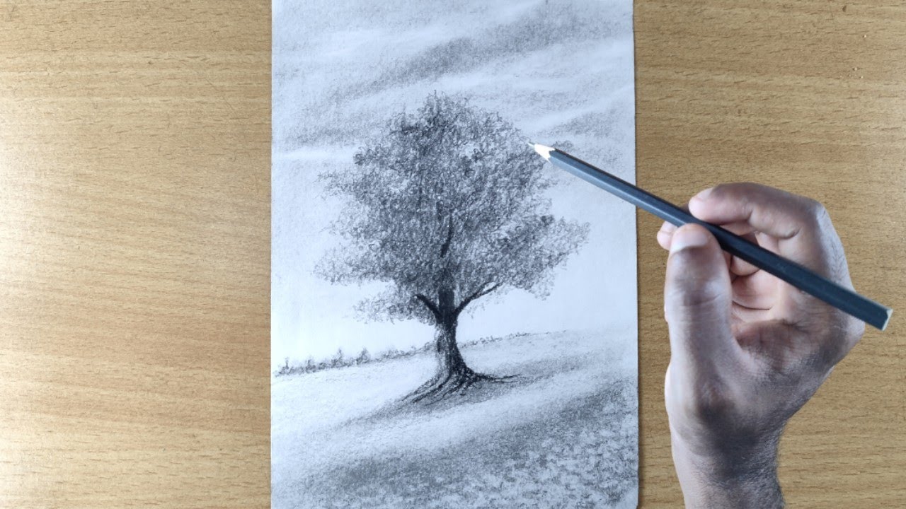 How to Draw a Tree Landscape step by step | Pencil Drawing for ...