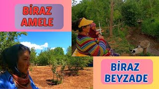 BİRAZ AMELE BİRAZ BEYZADE