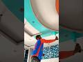Falls ceiling collor fast cort #wallpaiting #art