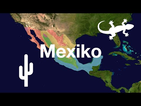 Video: Auf welcher Bruchlinie liegt Mexiko-Stadt?