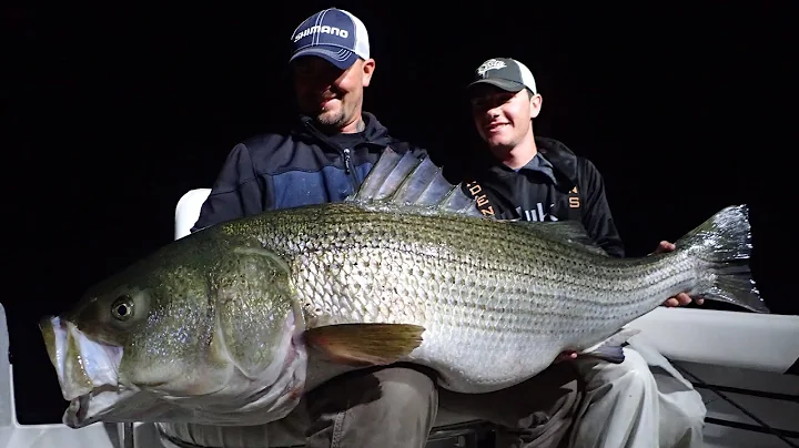 Back Water to Big Water - Striped Bass Fishing wit...