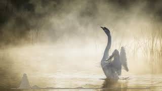 Solomun - After Rain Comes Sun (Original Mix)