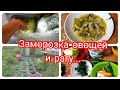 VLOG 27.07.2021 Сезон заморозки начался//Рагу из своих овощей// Дочи помощницы..