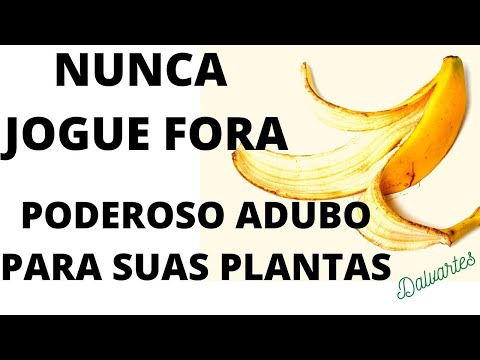 PODEROSO ADUBO COM CASCA DE BANANA