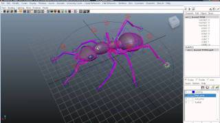 ant rig.mp4