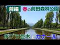 🌲【前編】春の前田森林公園「ポプラ並木とカナール」【札幌市手稲区】【札幌ぶらり散歩】【2026春】