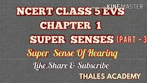 NCERT CLASS 5 EVS CHAPTER 1 SUPER SENSES (PART - 3)