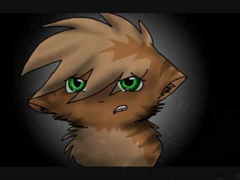 Thunderpaw AMV  (300 Subscribers!!)