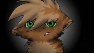 Thunderpaw Amv 300 Subscribers