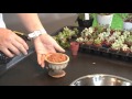 みずのともこギャザリング講座 No_03 (2016.09.05)