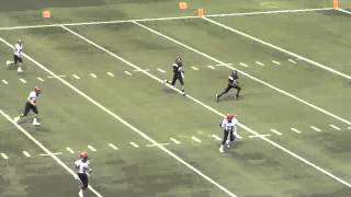 Terry Fox "double reverse flea-flicker"