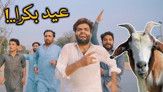 Eid Maal mandi |Zindabad vines new| |Maal mandi 2021| pashto funny video 2021