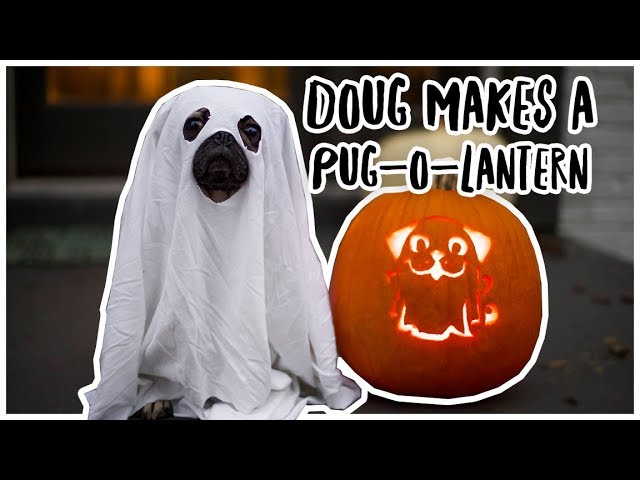Doug Makes a Pug-O-Lantern – Doug The Pug