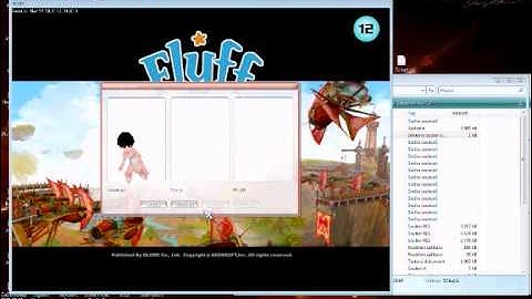 flyff private server problem