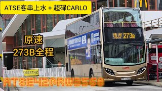 【超碌謝短】九巴273B線 往上水站（循環） ATSE42@RW3568 HK KMB Route 273B towards Sheung Shui Sta. (Cir.) 原速行記 No edit
