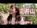 【低山のんびり散策】三井山でお花とチャート(岩)を満喫!【鳥全然いないw】