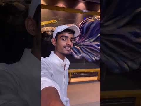 Part-2 udeipur me kya ho gya 🙁 #trending #minivlog #sturggle #shortvideo #viral #udeipur #vlogs