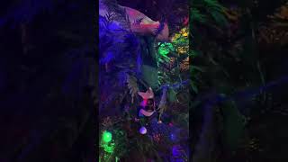 THEY HAD A RAVE WITHOUT US??? #christmasdecor #fyp #couplescomedy #snoopdogg #relatablecomedy