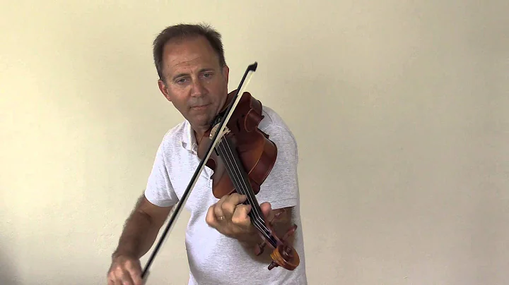 Scott Cao STV 017 Violin for William