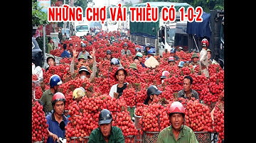 CHỢ VẢI THIỀU LỤC NGẠN - KHU  VỰC NGÃ BA KÉP HỒNG GIANG SÁNG 21-6.