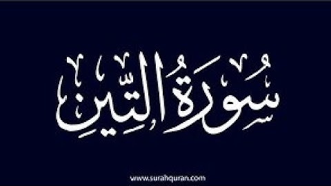 محمد عزيز _ سورة التينMohammad Aziz _ Surah At_.Tin