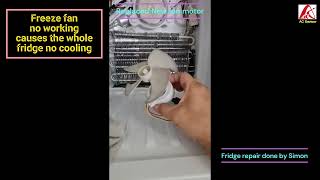 Fridge Electrolux fan motor faulty causes the whole fridge no cooling 20250321 repair done By Simon