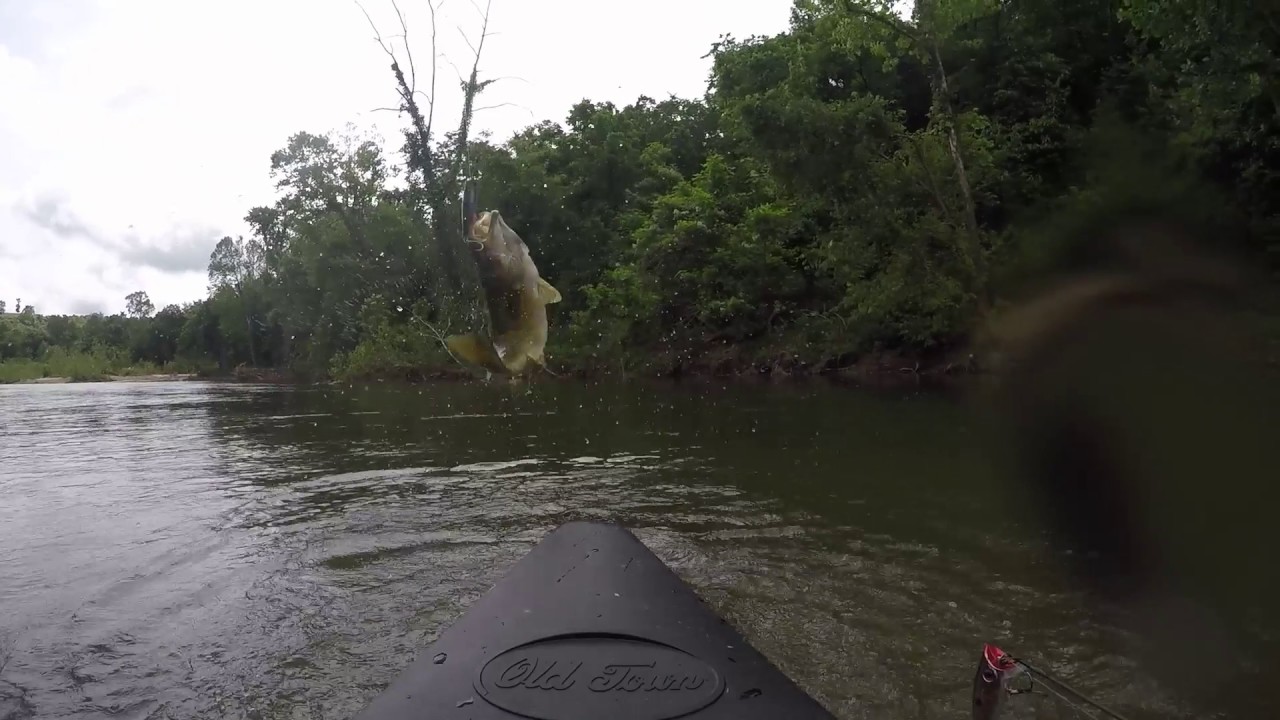 Crooked Creek, Yellville, AR YouTube