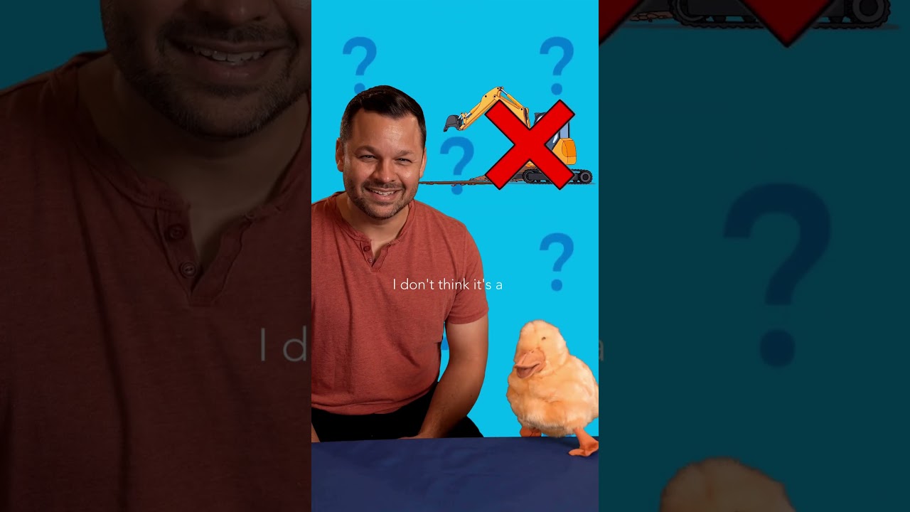 What Makes That Sound?! Help Mr. Beak Figure It Out 👀🎶