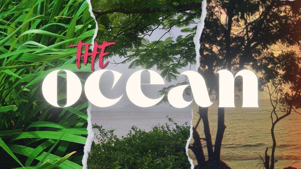 THE OCEAN | CINEMATIC VIDEO | SHOT BY MOBIPIXEL |📍MANDVA | 2024