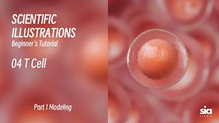 Beginner C4D Tutorial for Scientific Visualization | 3D Modeling Guide | 04 T Cell
