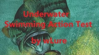 wLure Fishing Lure Underwater Swimming Action Testing C564