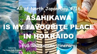 Asahikawa is my favourite Hokkaido Town with Ueno Farm, Asahikawa Zoo, and more! Day 4 of 16