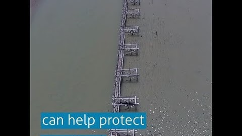 Accelerating Adaptation through Building with Nature in Indonesia