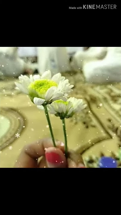 Video Status WA - Al Khidmah Ya Robbi Sholi Ala Muhammad