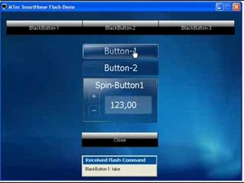 Delphi + Embedded Flash