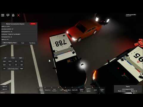 CHP report #7