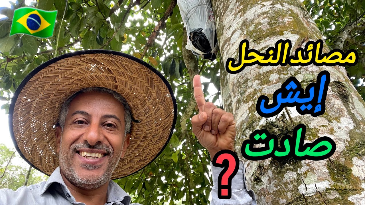 مصائد النحل و إيش إصطادة و المزرعة بعد العاصفة 🤔